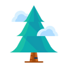 pine tree with clouds